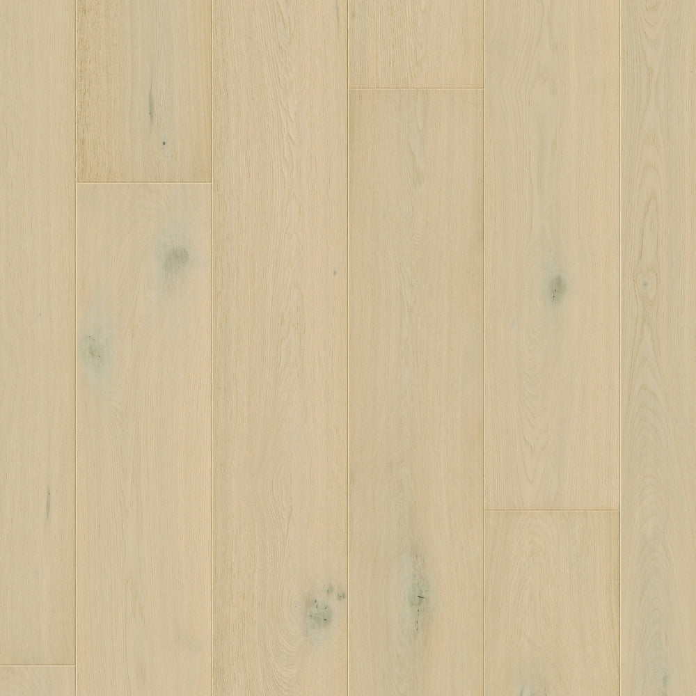 TopShots CAL7445_Topshot.jpg