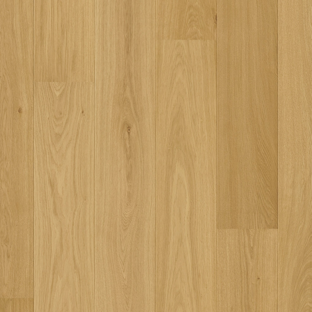 TopShots CAL6029_Topshot.jpg