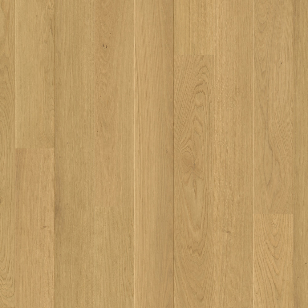 TopShots AMT6029_Topshot.jpg