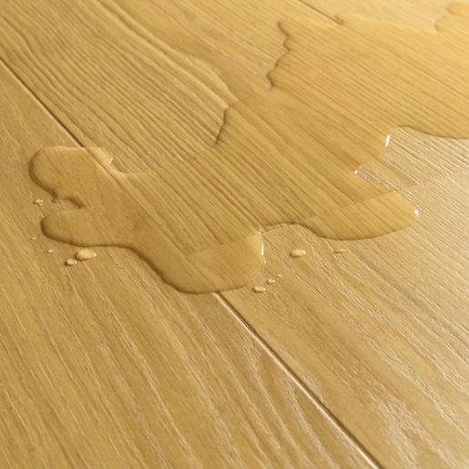 Chêne Bourbon - IM8260