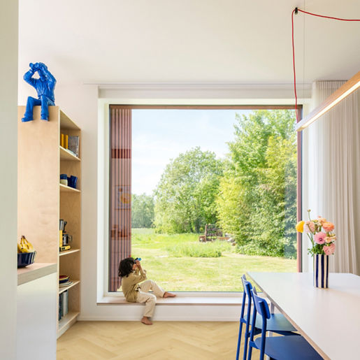 Chêne muscade - IMD8243