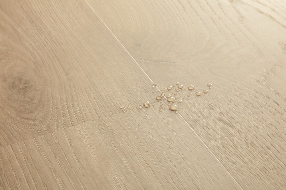 Chêne littoral sable - AVSPU40322