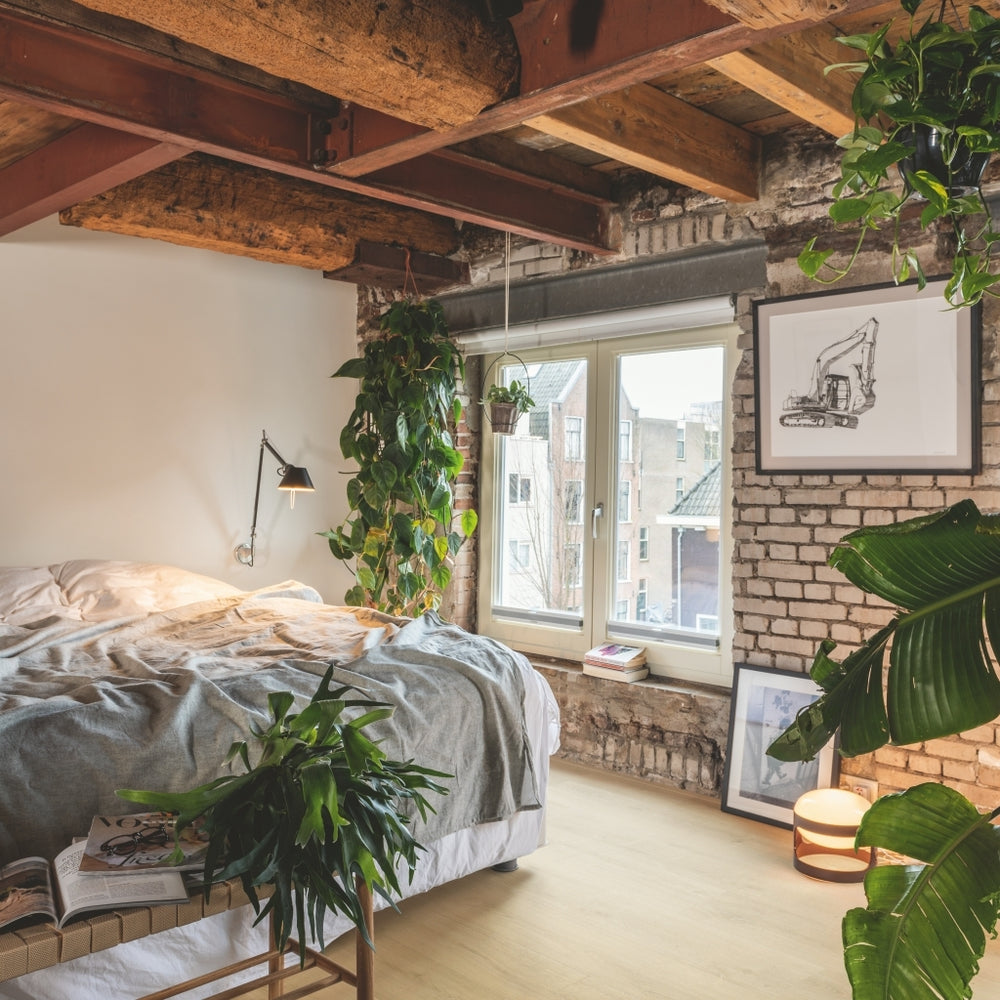 Chêne nature brossé - SIG4763