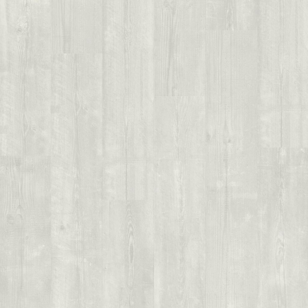 Pin des neiges - AVMPU40204