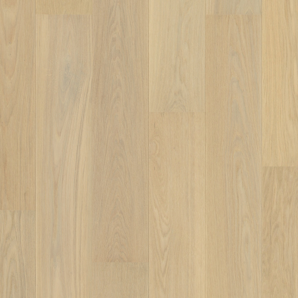 TopShots CASC5106_Topshot.jpg