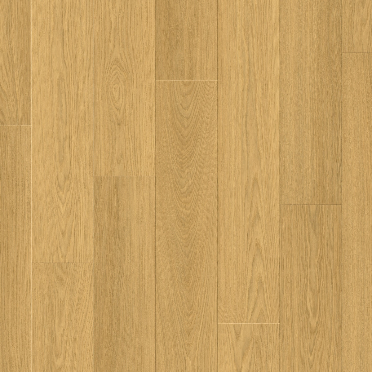 TopShots SIG4749_Topshot.jpg