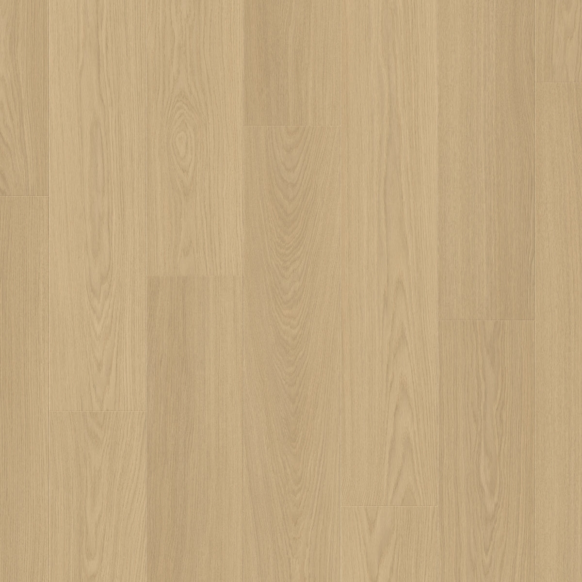 TopShots SIG4750_Topshot.jpg