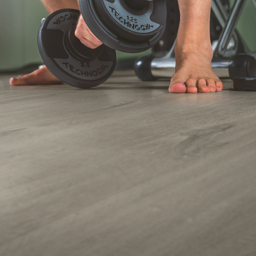 Interior Pictures AVMP40202_Interior03.jpg