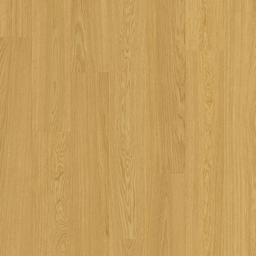 Chêne Bourbon - IM8260
