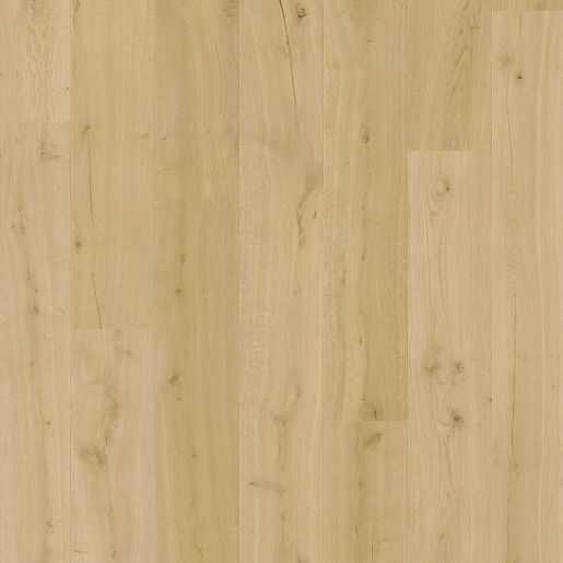 Chêne coton - IMU8254