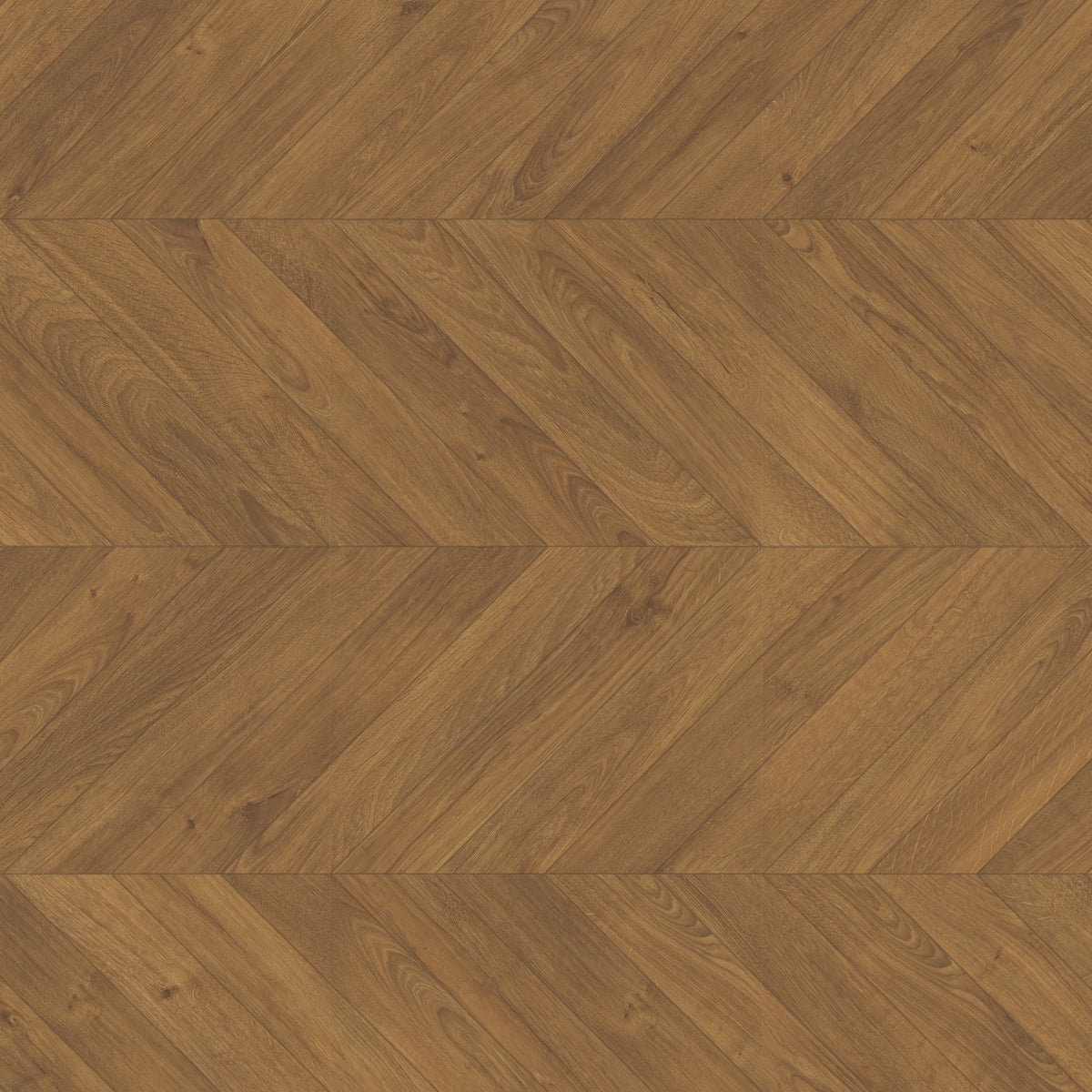 TopShots IPA4162_Topshot_Herringbone.jpg