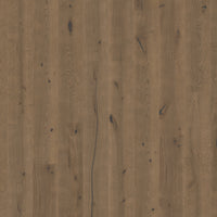 TopShots MAS3564S_Topshot.jpg