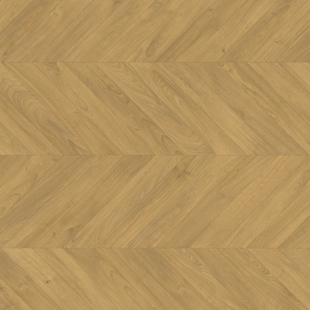 TopShots IPA4161_Topshot_Herringbone.jpg