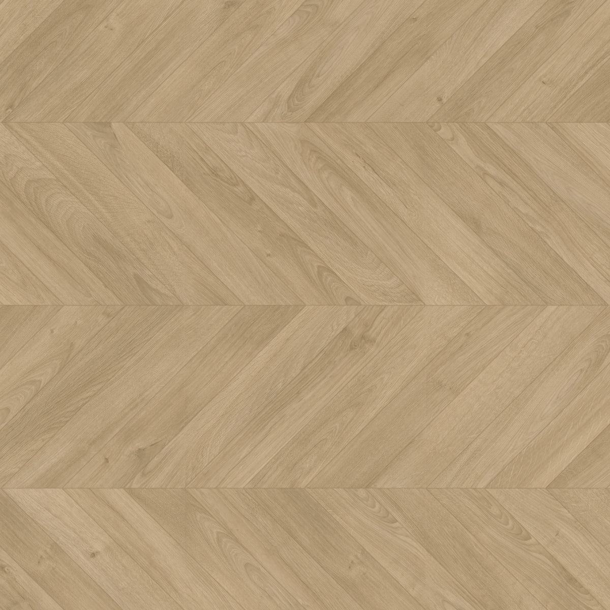 TopShots IPA4160_Topshot_Herringbone.jpg